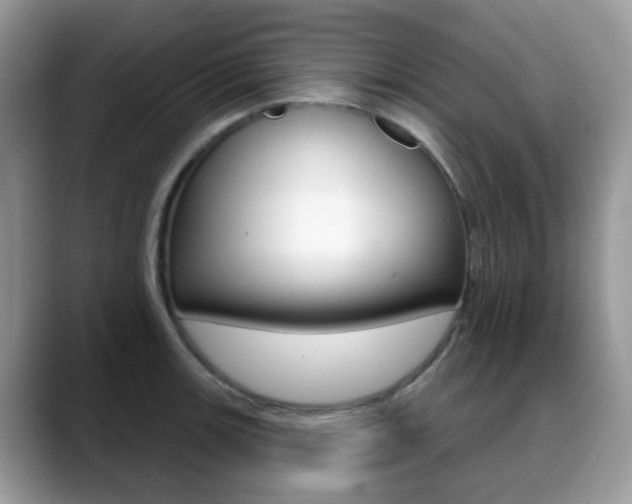 X0000088881139200706080736