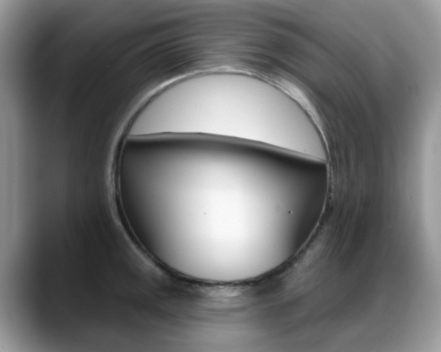 X0000088881141200706080736