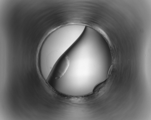 X0000088881146200706080736