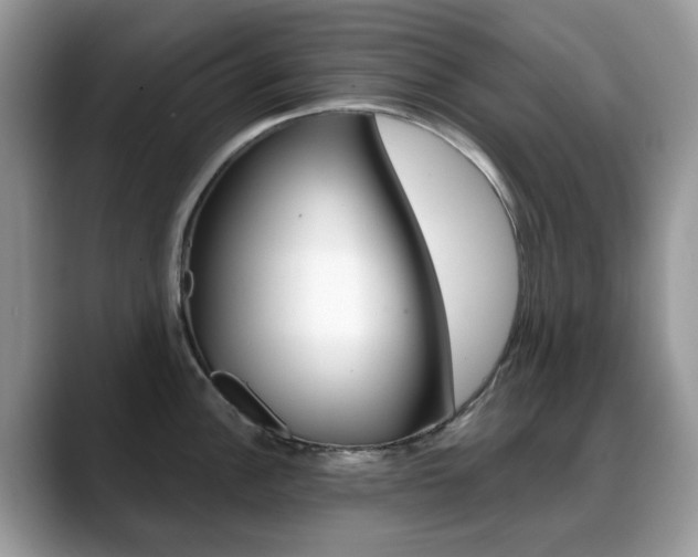 X0000088881148200706080736