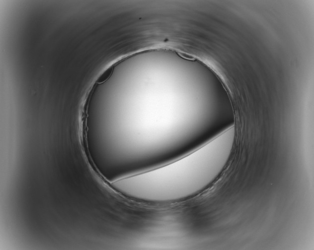 X0000088881151200706080736