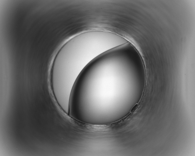 X0000088881152200706080736