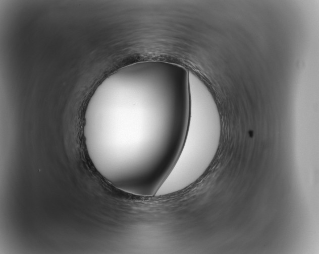 X0000088881153200706080735