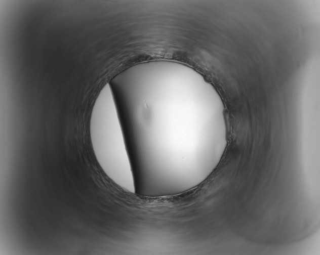 X0000088881154200706080735