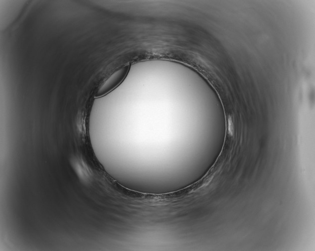 X0000088881155200706080735