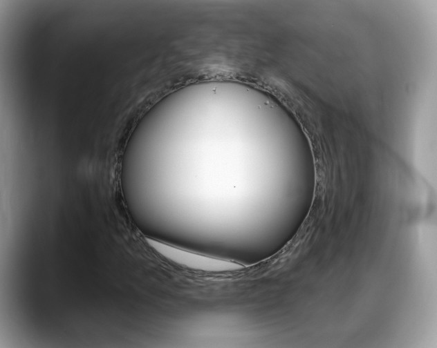 X0000088881157200706080735