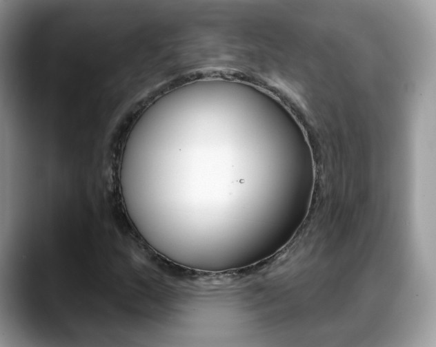 X0000088881159200706080735