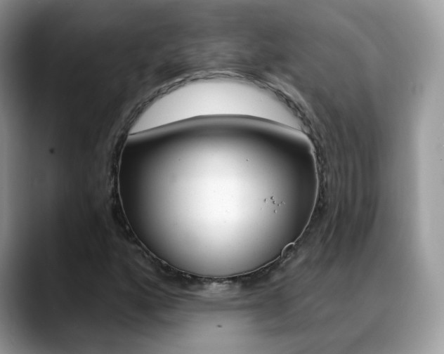 X0000088881160200706080735