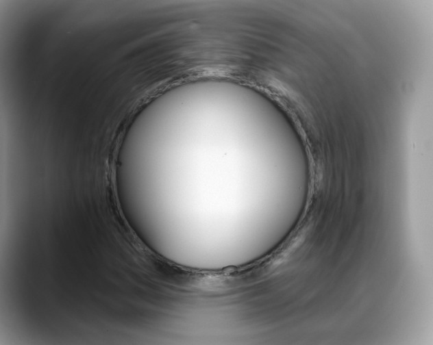 X0000088881161200706080735