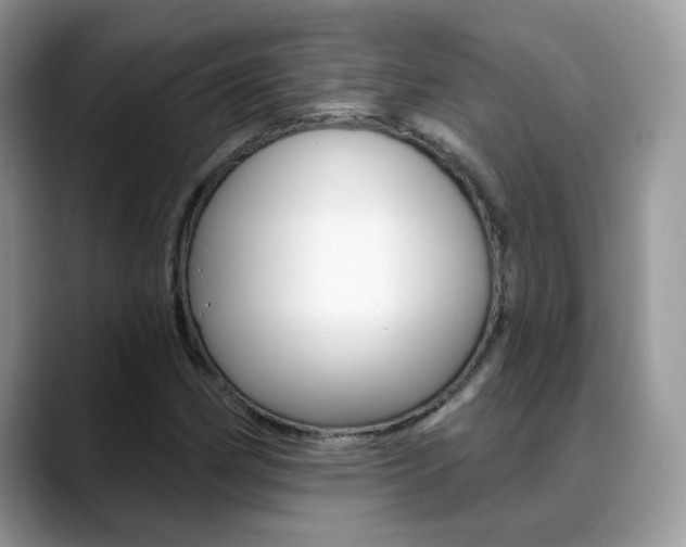 X0000088881162200706080735