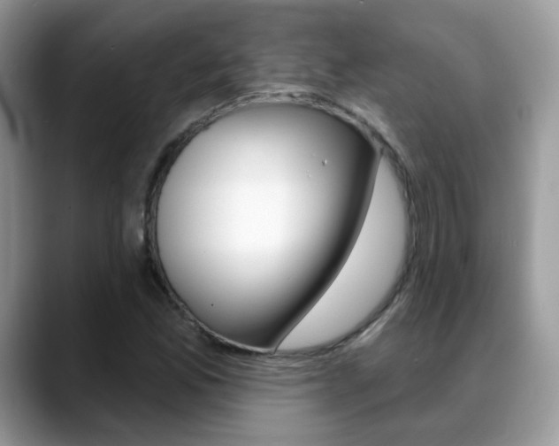 X0000088881165200706080735