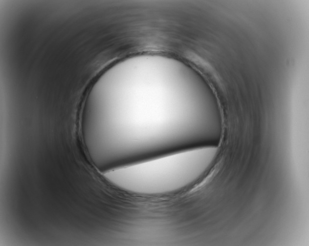 X0000088881170200706080735