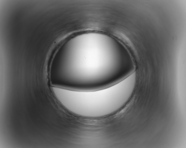 X0000088881172200706080735