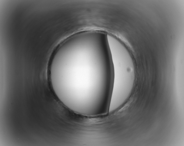 X0000088881173200706080735
