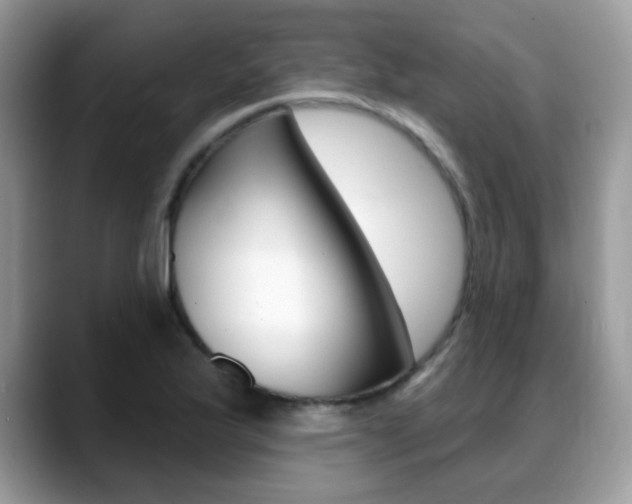 X0000088881175200706080735