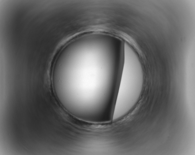 X0000088881176200706080735