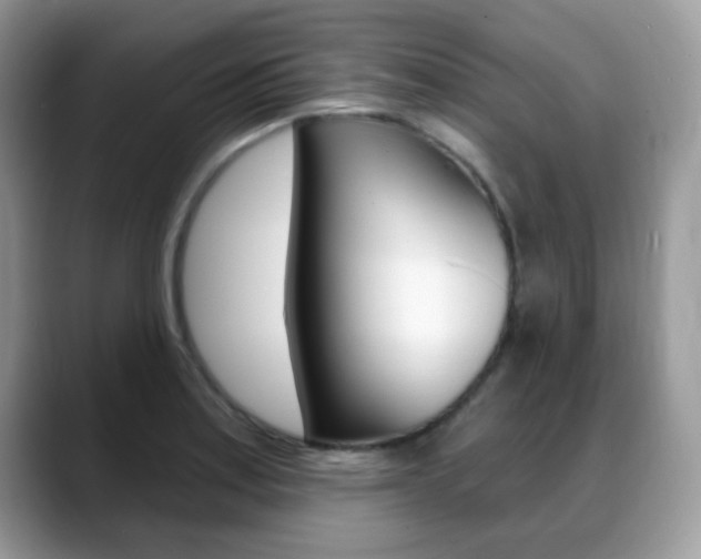 X0000088881179200706080735