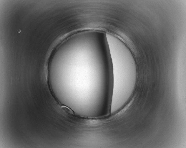 X0000088881180200706080735