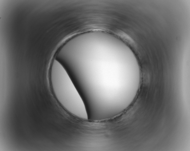 X0000088881182200706080735