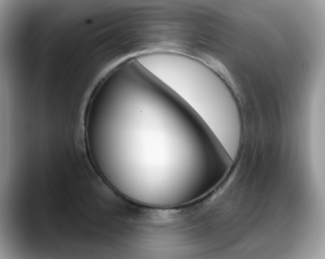 X0000088881184200706080735