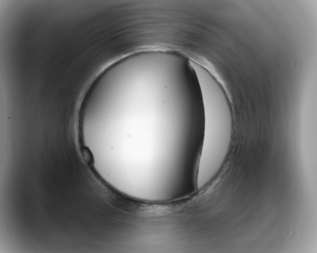 X0000088881187200706080735