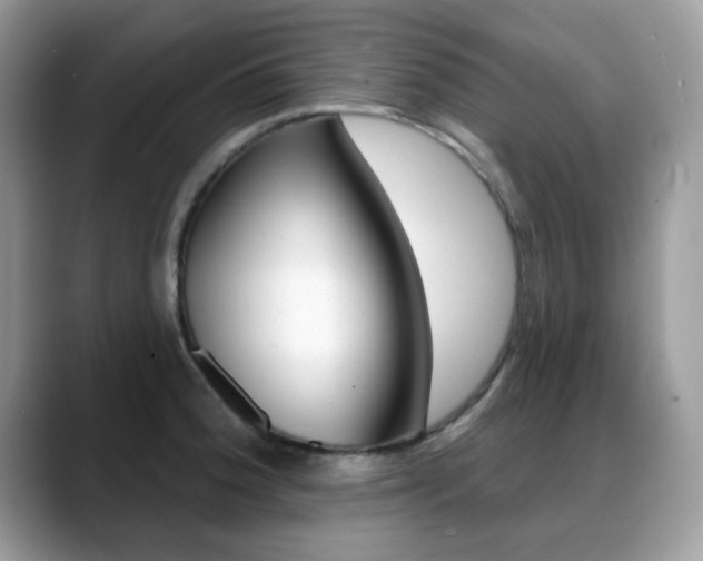 X0000088881188200706080735