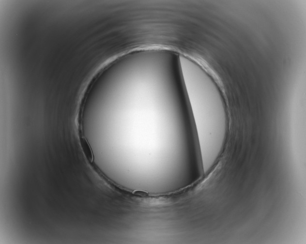 X0000088881189200706080735