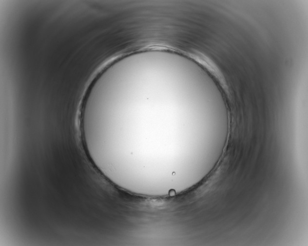 X0000088881190200706080735