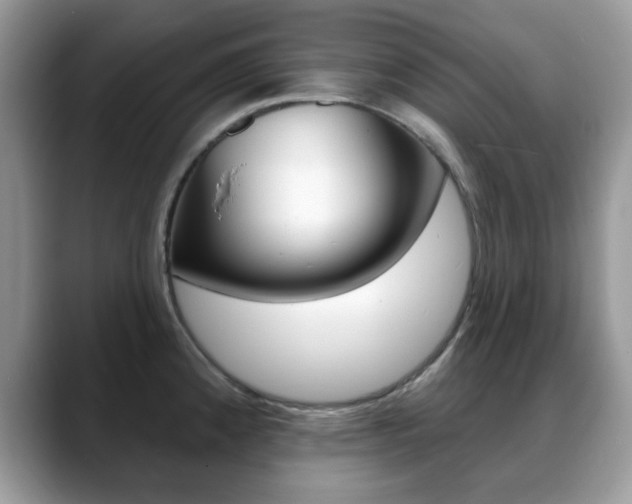 X0000088881192200706080735