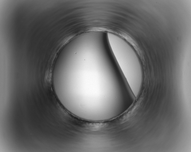 X0000088881193200706080735
