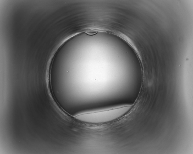 X0000088881195200706080735