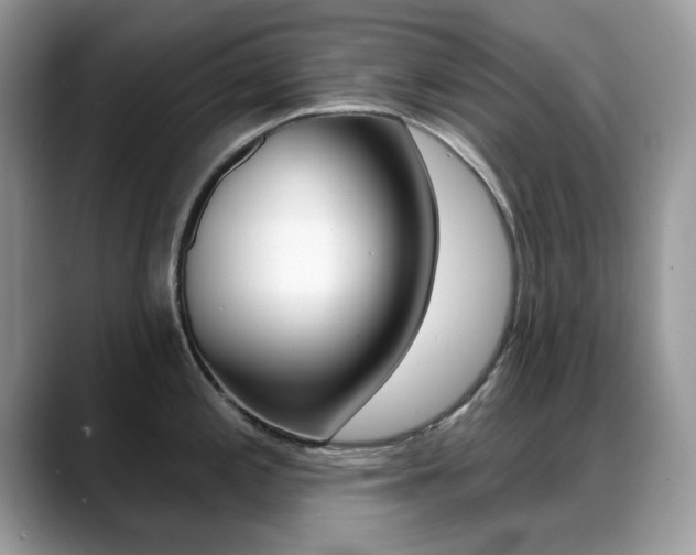X0000088881197200706080735