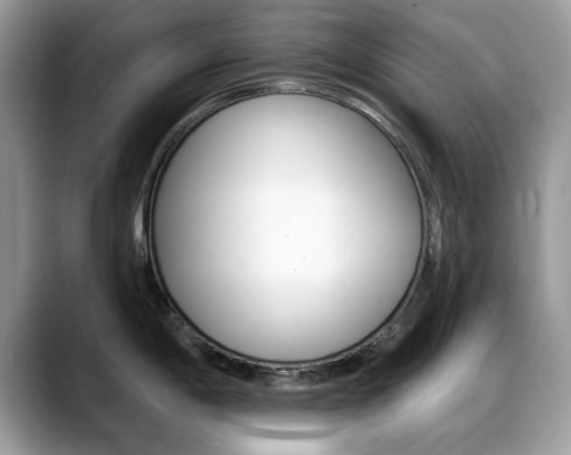 X0000088881198200706080735