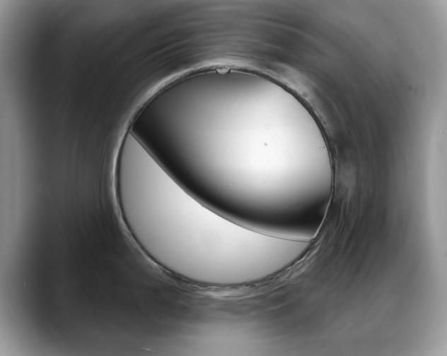 X0000088881199200706080735