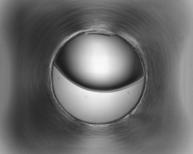 X0000088881200200706080735