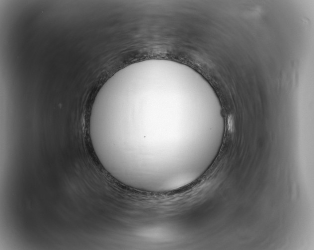 X0000088881203200706080734