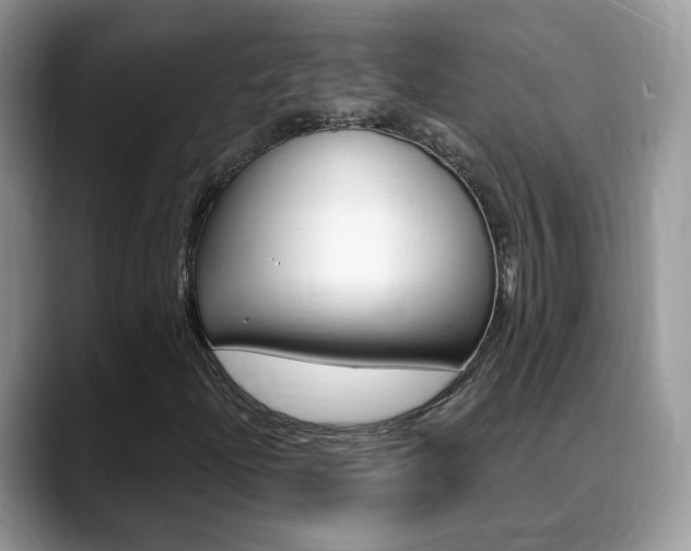 X0000088881204200706080734