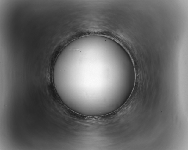 X0000088881205200706080734