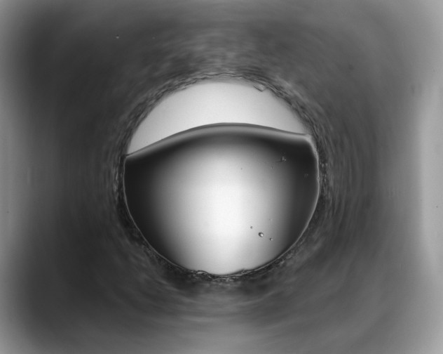 X0000088881206200706080734