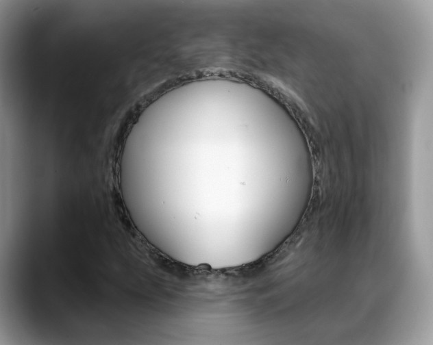 X0000088881207200706080734