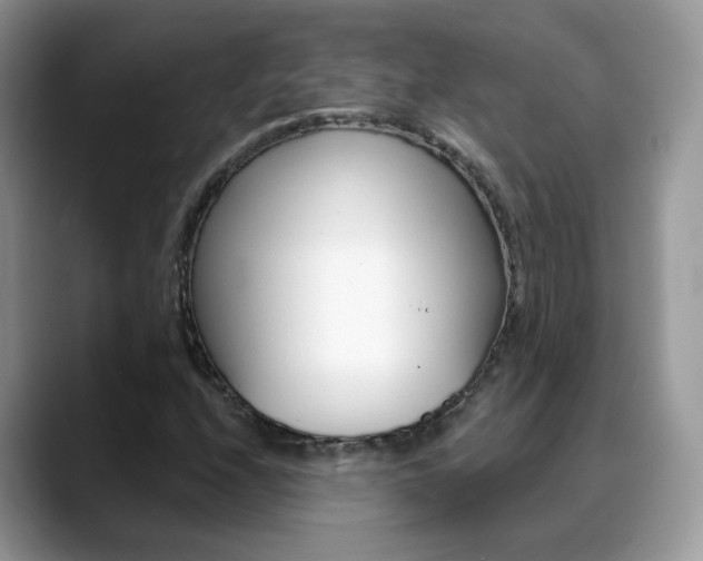 X0000088881208200706080734