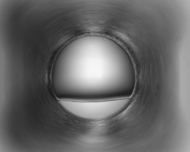 X0000088881209200706080734