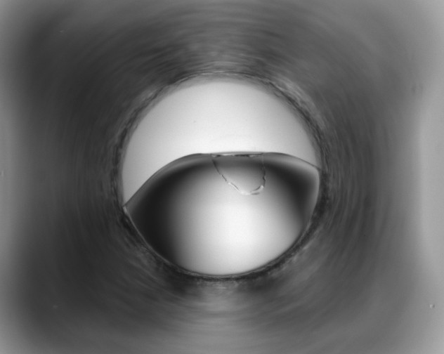 X0000088881210200706080734