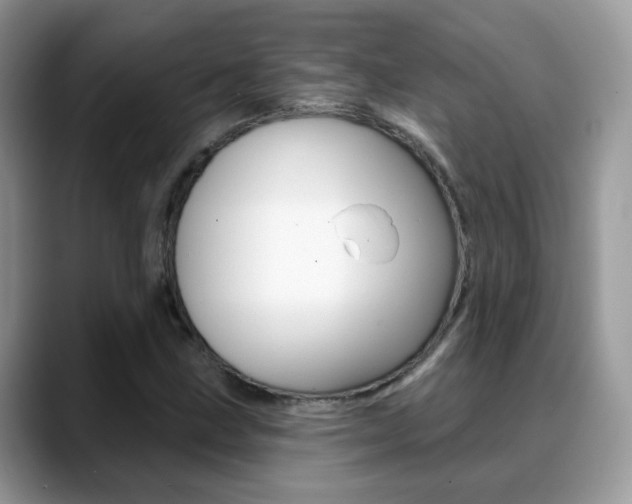 X0000088881211200706080734