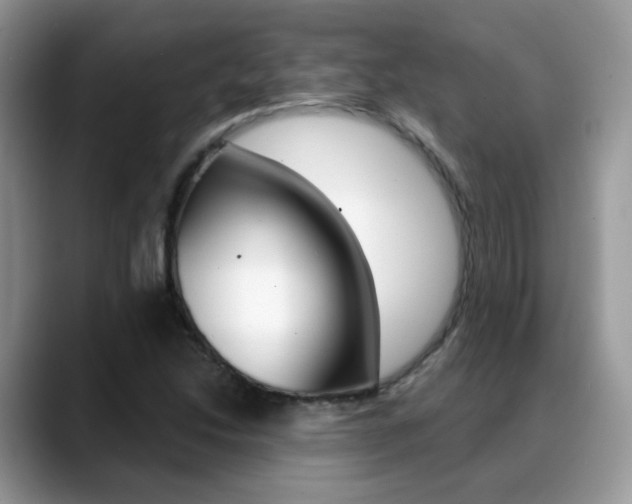 X0000088881214200706080734