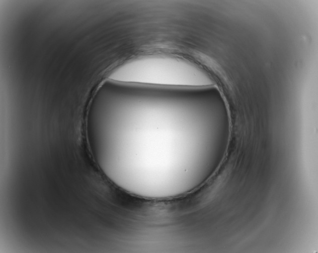 X0000088881217200706080734
