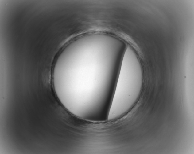 X0000088881220200706080734