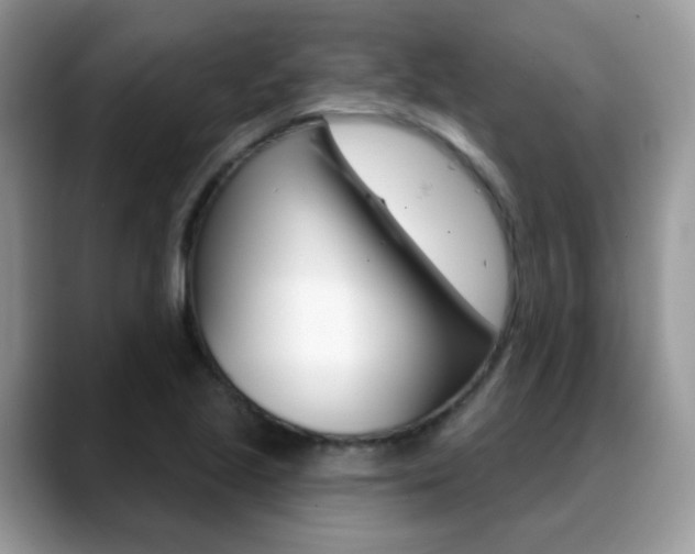 X0000088881221200706080734