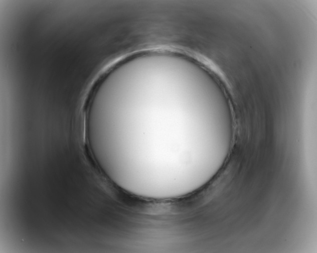 X0000088881223200706080734
