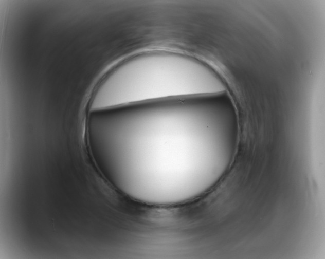 X0000088881224200706080734